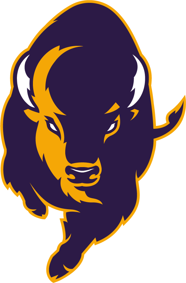 Lipscomb Bisons 2020-Pres Alternate Logo v2 t shirts iron on transfers